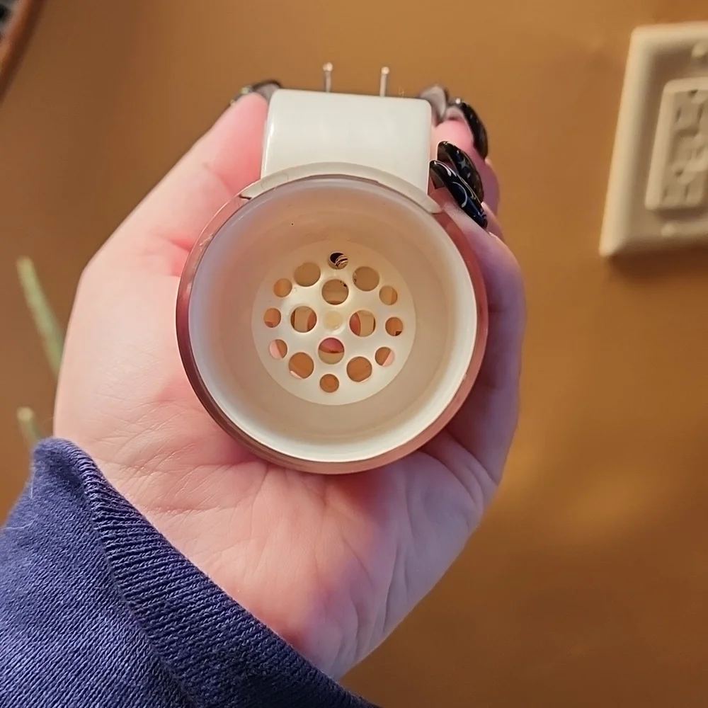 BBW Wallflower Plug - Picture 3 of 5